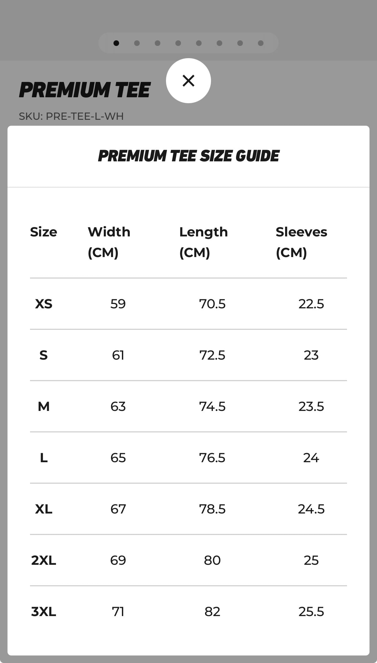 OVERSIZED OG T-SHIRT (PINK/BLUE)